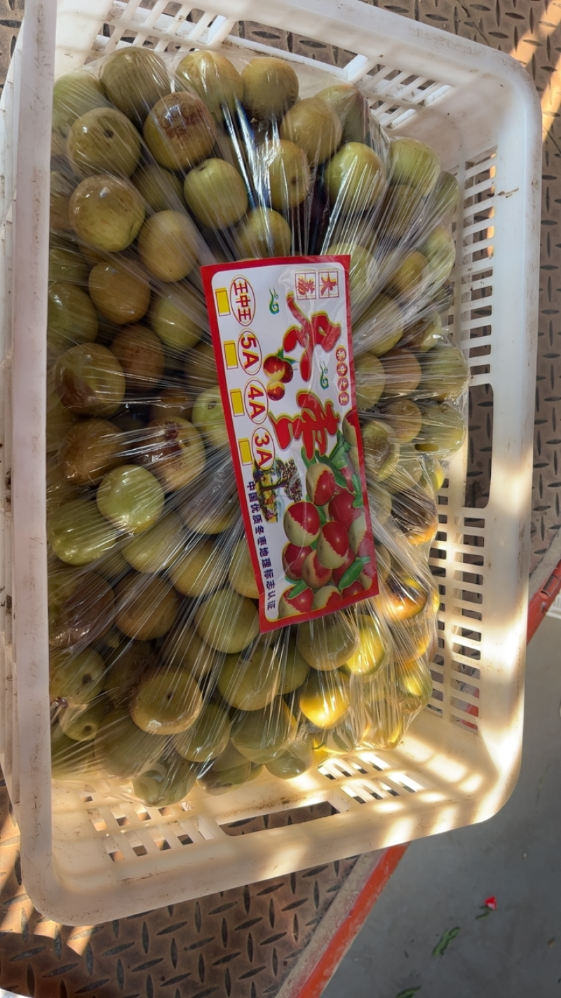 大荔冬枣
