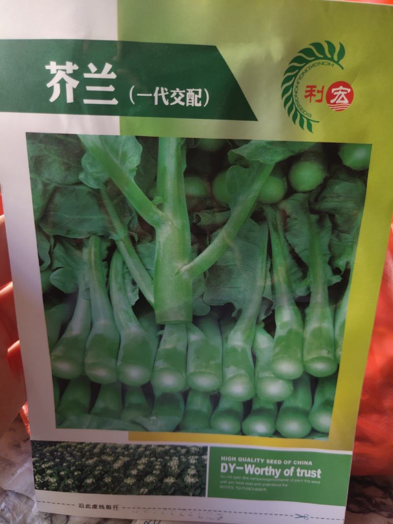 芥兰种子一代杂交品种，
