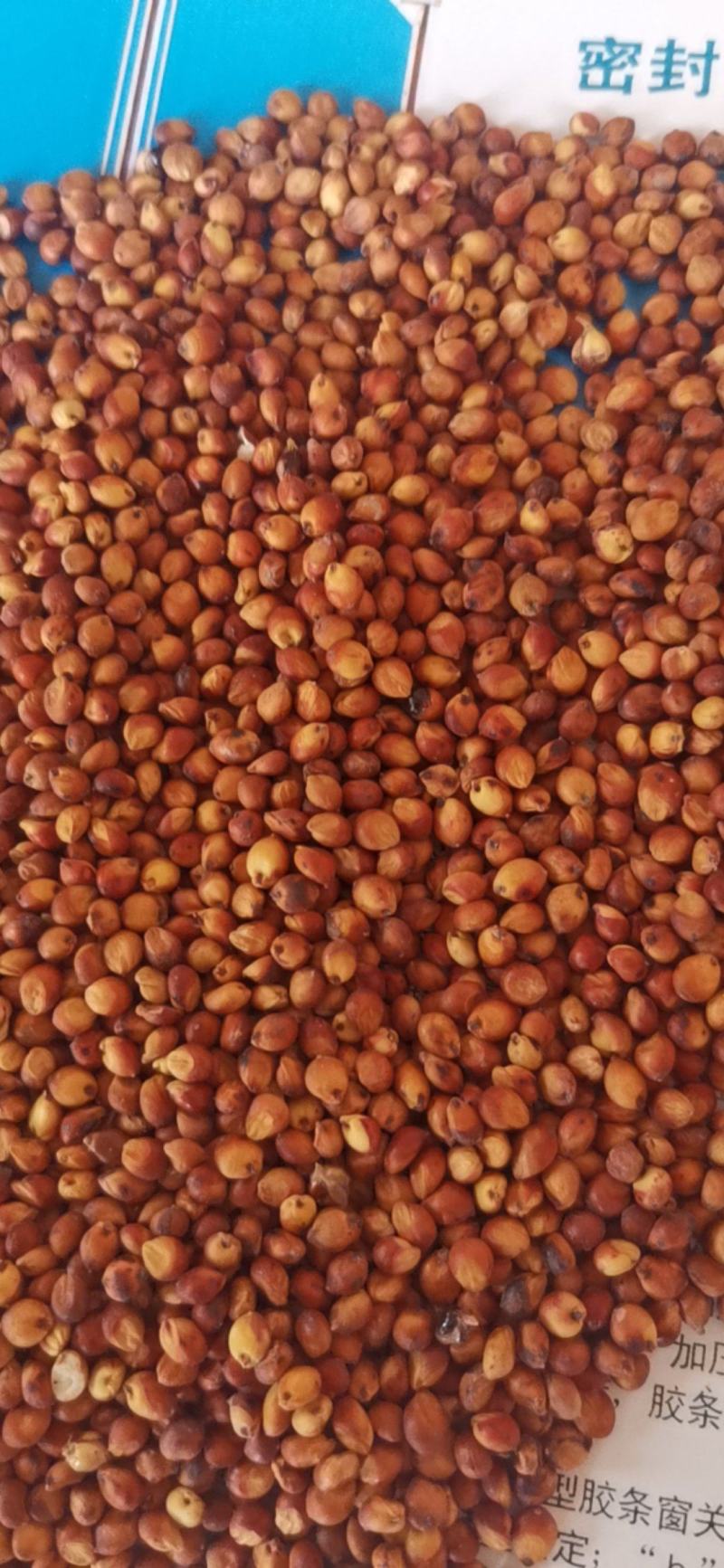 精品小颗粒小红粮