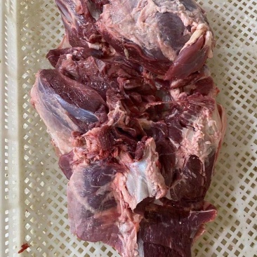 羔羊后腿包，肉质鲜嫩，口感醇香，可做肉馅，丸，烧烤红烧等