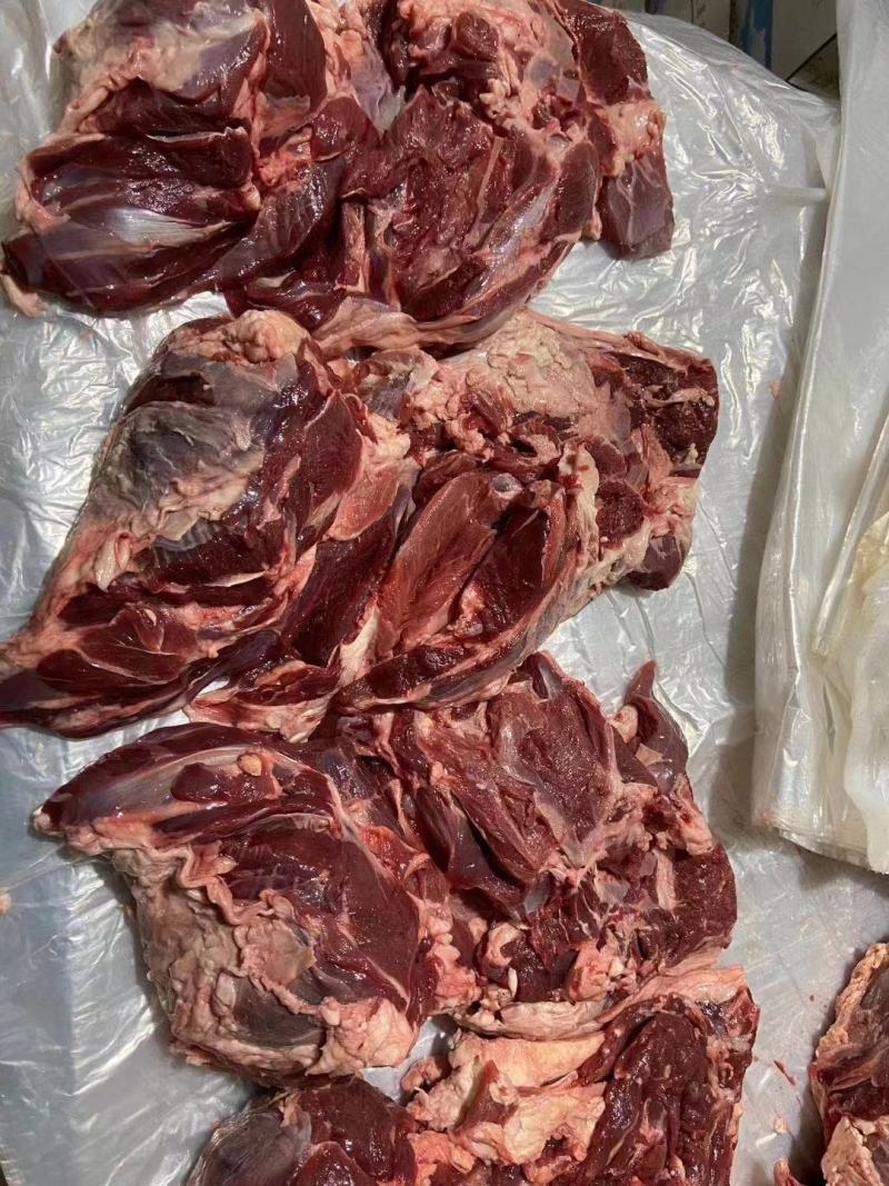 羔羊后腿包，肉质鲜嫩，口感醇香，可做肉馅，丸，烧烤红烧等