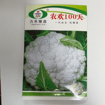 台湾引进青梗松花菜种子耐寒高产表现好花球洁白