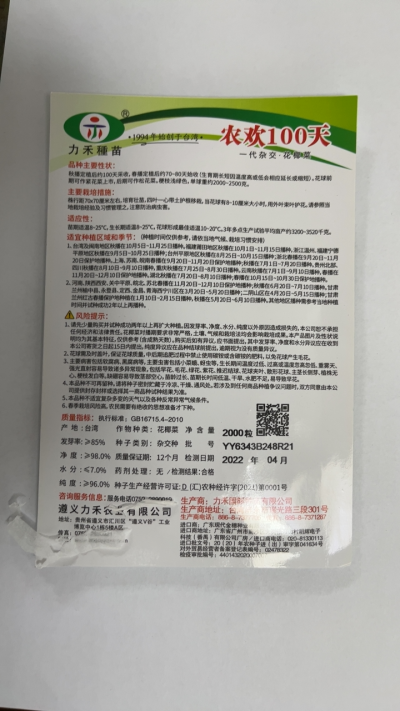 台湾引进青梗松花菜种子耐寒高产表现好花球洁白