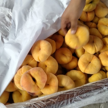 中蟠11，口感很好！表光质量很好库存