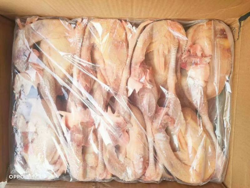 白条鸡白羽白条鸡817肉食白条鸡批发零售供应