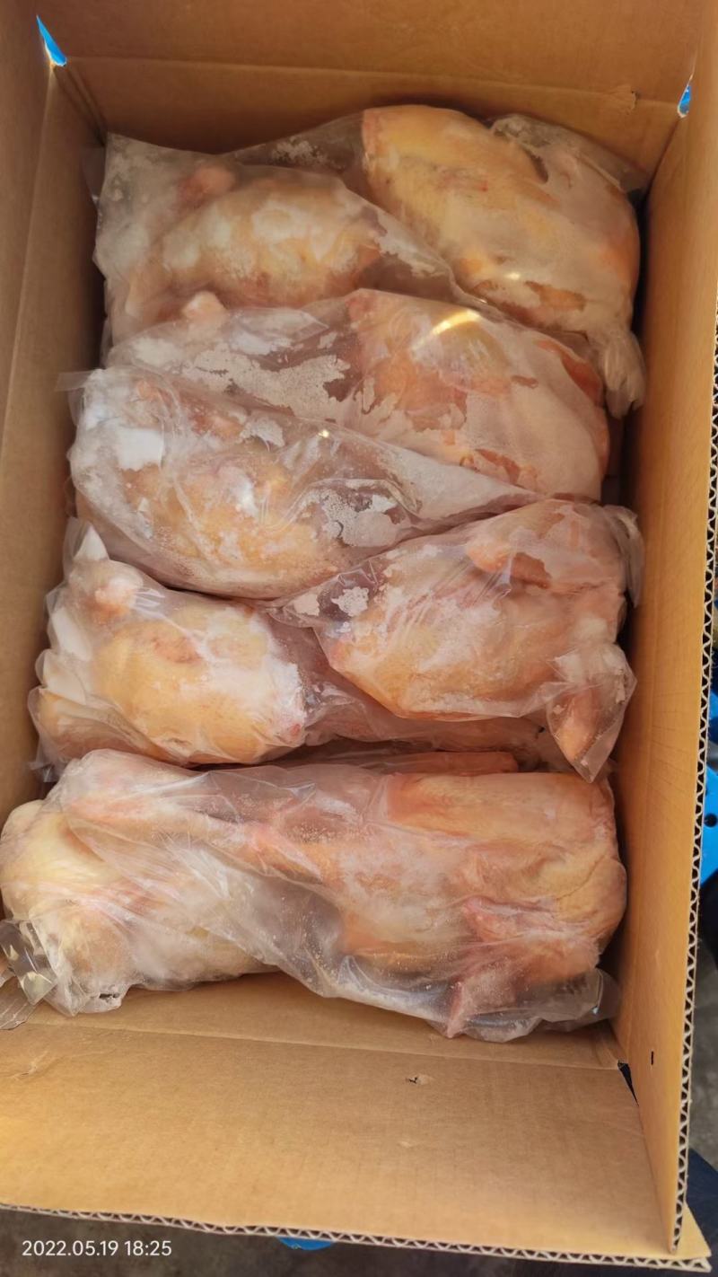 白条鸡白羽白条鸡817肉食白条鸡批发零售供应
