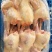 白条鸡白羽白条鸡817肉食白条鸡批发零售供应
