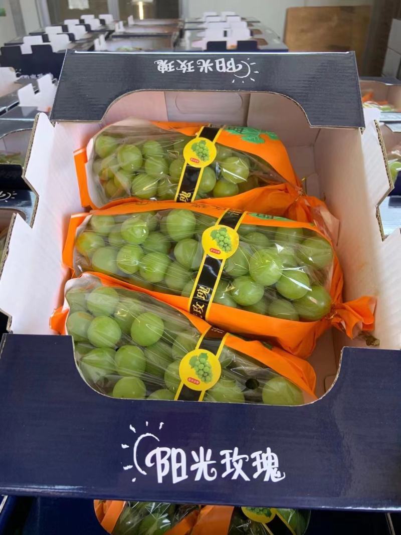 〔优质葡萄〕山东阳光玫瑰，产地直供，大量供应，可视频看货
