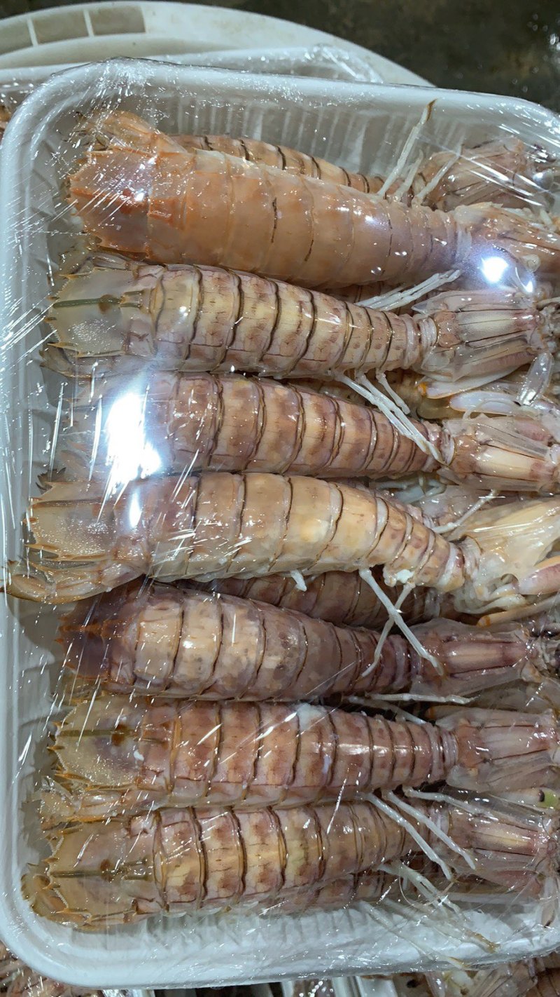北部湾熟冻皮皮虾