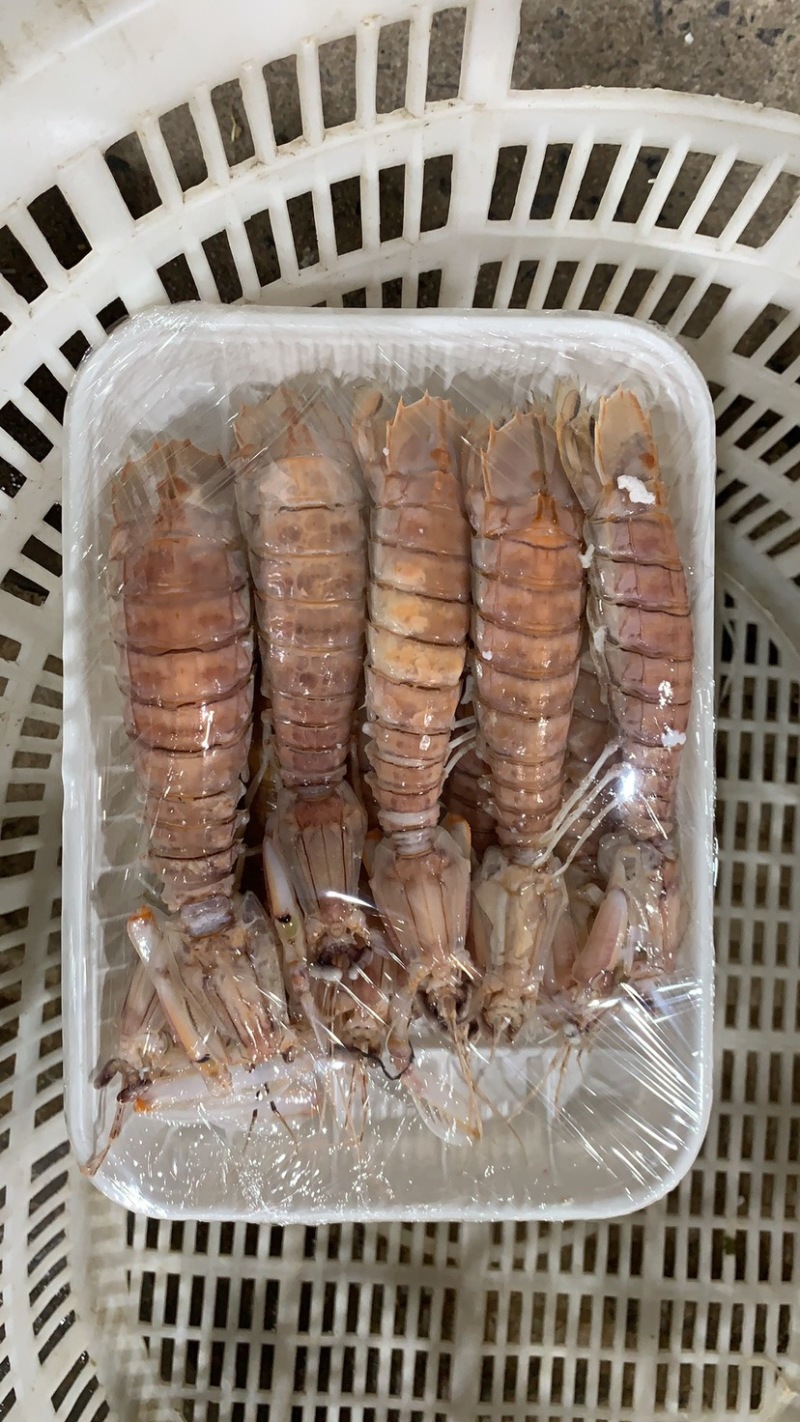 北部湾熟冻皮皮虾