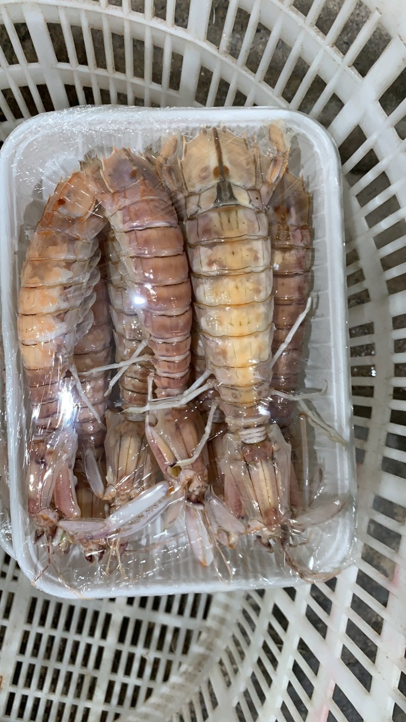北部湾熟冻皮皮虾
