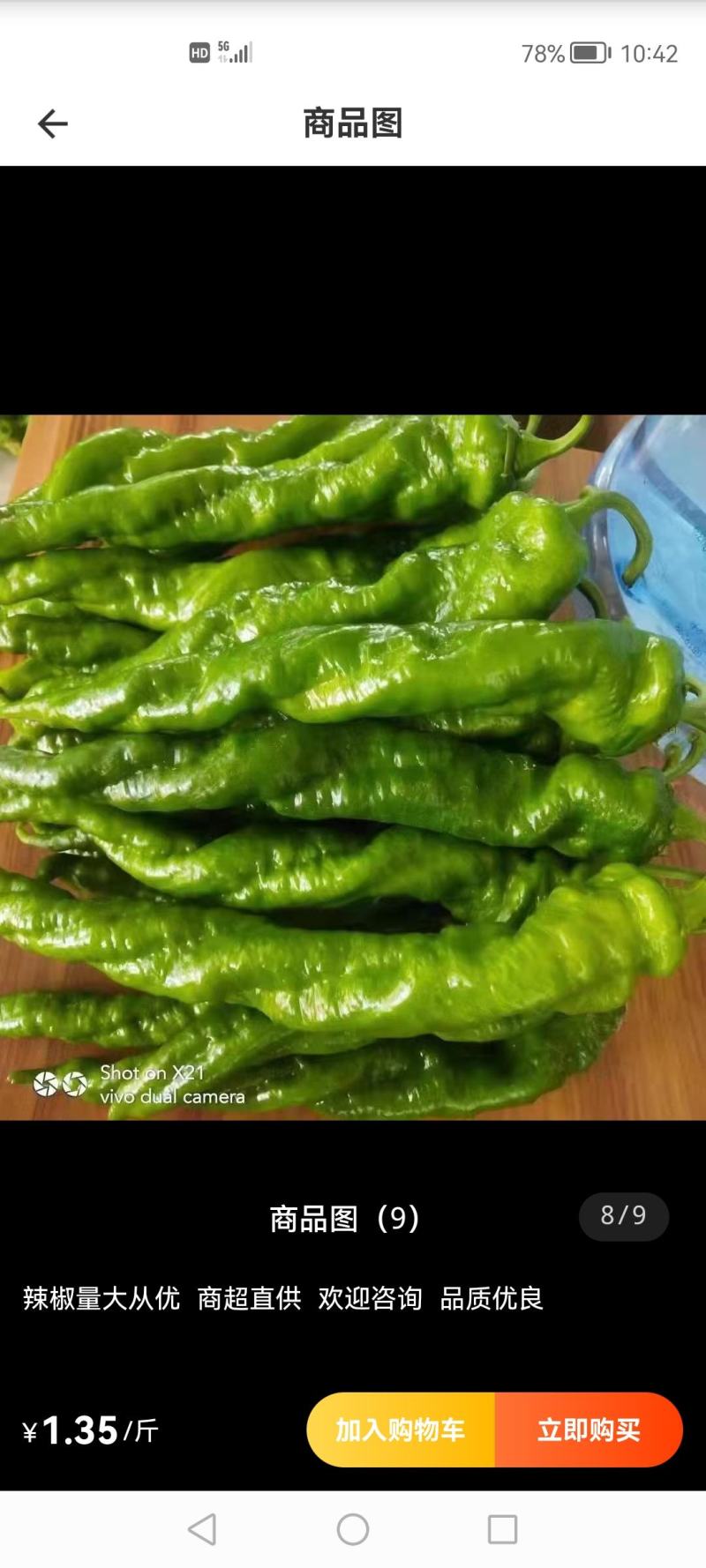 精品陇椒，螺丝椒