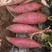 【精品红薯】西瓜红红薯开封产地直发量大从优供应电商市场电联
