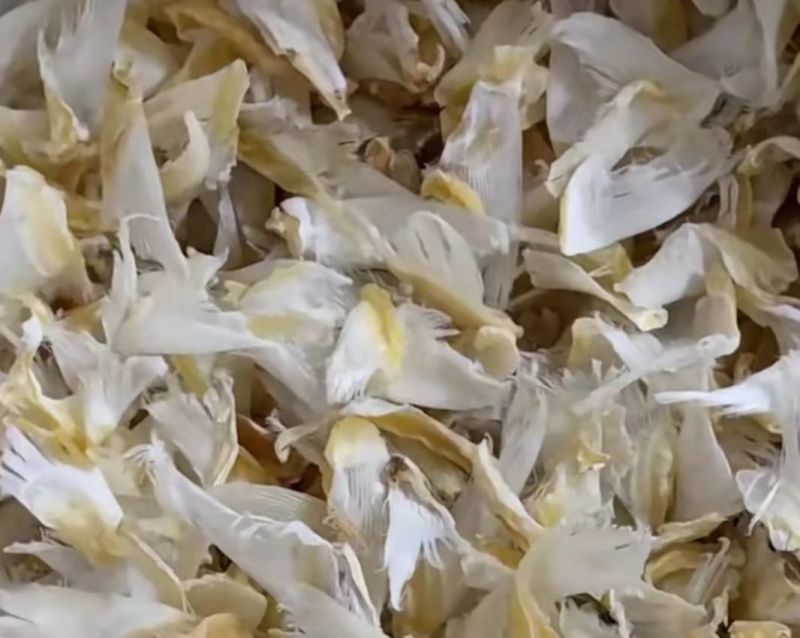 批发【鱼翅】鱼翅针纯肉礼盒装精简装散货大件装都有一手货源