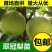 四川翠冠梨树苗，早熟，皮薄，多汁甜包成活，包邮送生根剂