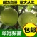 四川翠冠梨树苗，早熟，皮薄，多汁甜包成活，包邮送生根剂