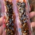 手撕牛肉两种口味，麻辣，五香一件20斤