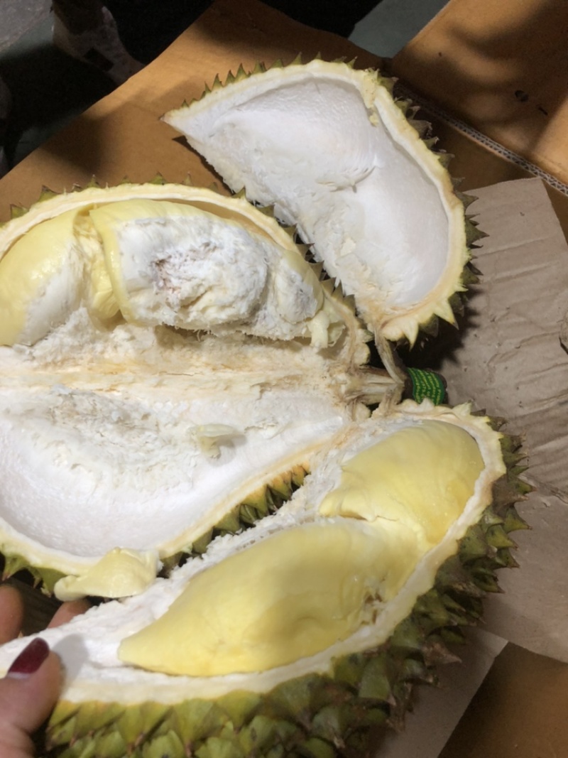 越南老树金枕榴莲鲜果A级果6个装进口水果非泰国金枕榴莲