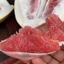 红柚可以了水分足