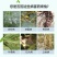 微生物菌剂金银花专用提高干花药效增产降低病害效期久