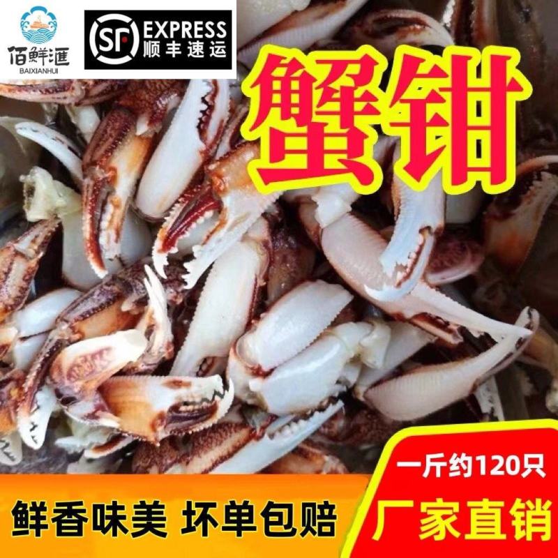蟹钳新鲜冷冻醉蟹钳沙蟹钳麻辣蟹钳捞汁蟹钳小吃酒店食材商用