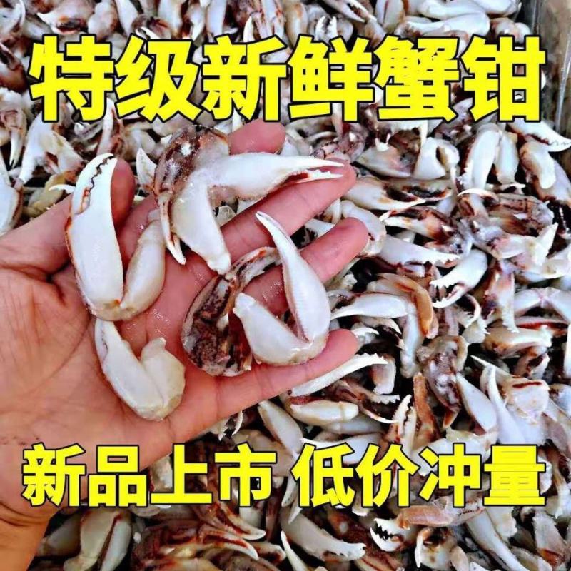 蟹钳新鲜冷冻醉蟹钳沙蟹钳麻辣蟹钳捞汁蟹钳小吃酒店食材商用