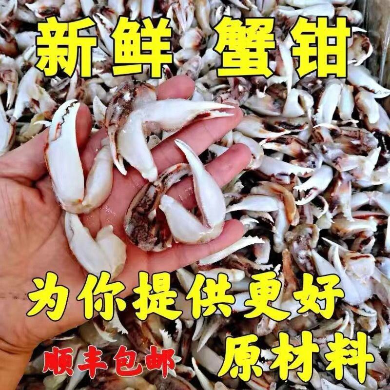 蟹钳新鲜冷冻醉蟹钳沙蟹钳麻辣蟹钳捞汁蟹钳小吃酒店食材商用