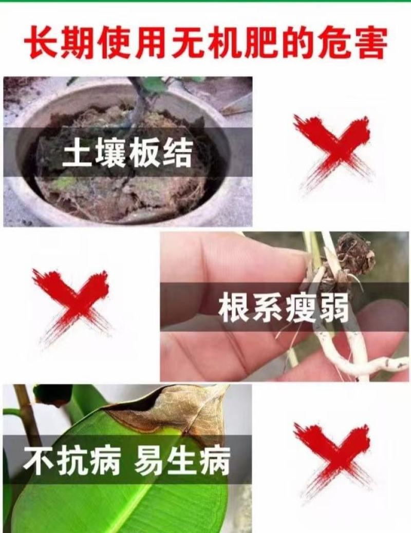 微生物菌剂鱼蛋白菌液有机水溶肥冲施肥绿叶生根增产防病