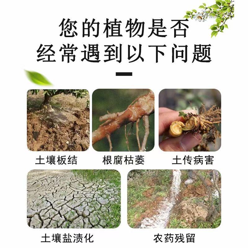 微生物菌剂鱼蛋白菌液有机水溶肥冲施肥绿叶生根增产防病