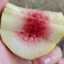 红心永莲蜜桃