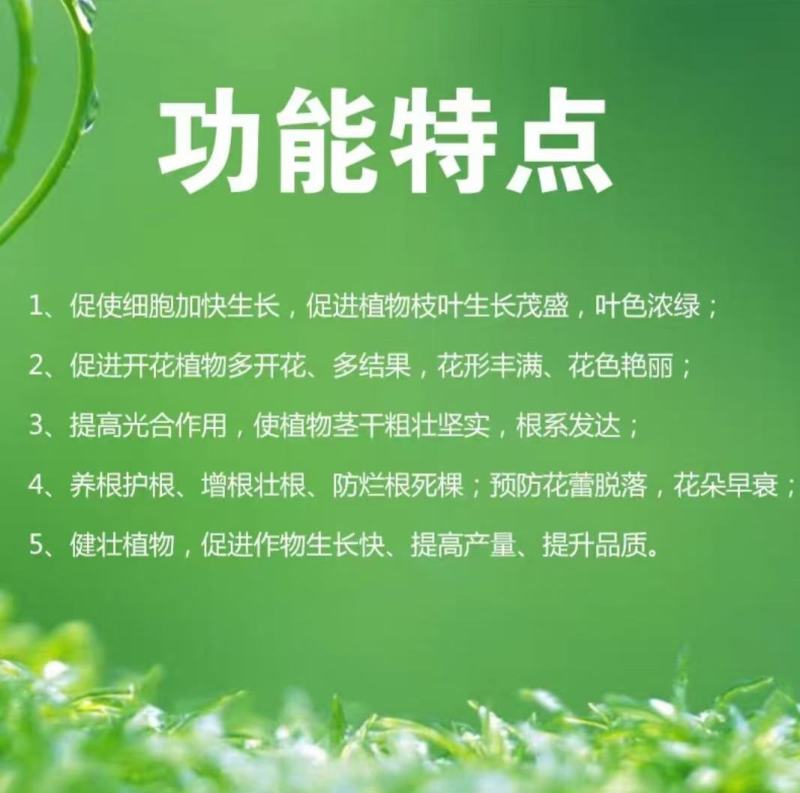 微生物菌剂鱼蛋白菌液有机水溶肥冲施肥绿叶生根增产防病