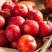樱桃李子树苗小果樱桃型红皮红肉六月初成熟嫁接苗结果早