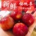 樱桃李子树苗小果樱桃型红皮红肉六月初成熟嫁接苗结果早