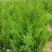 1.5蜀侩，2米蜀侩，2.5米蜀侩山西运城