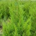 1.5蜀侩，2米蜀侩，2.5米蜀侩山西运城
