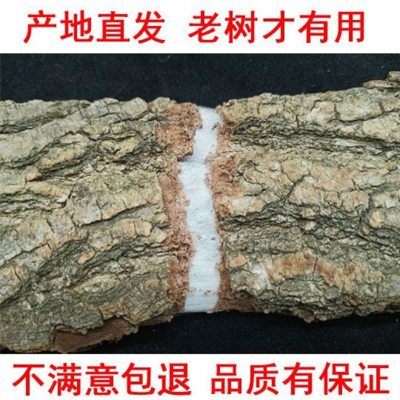 野生杜仲老树杜仲皮中药材批发地产杜仲茶厚皮泡茶煲汤泡酒补