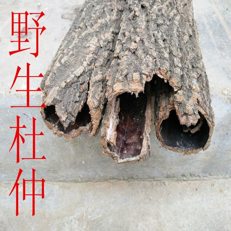 野生杜仲老树杜仲皮中药材批发地产杜仲茶厚皮泡茶煲汤泡酒补