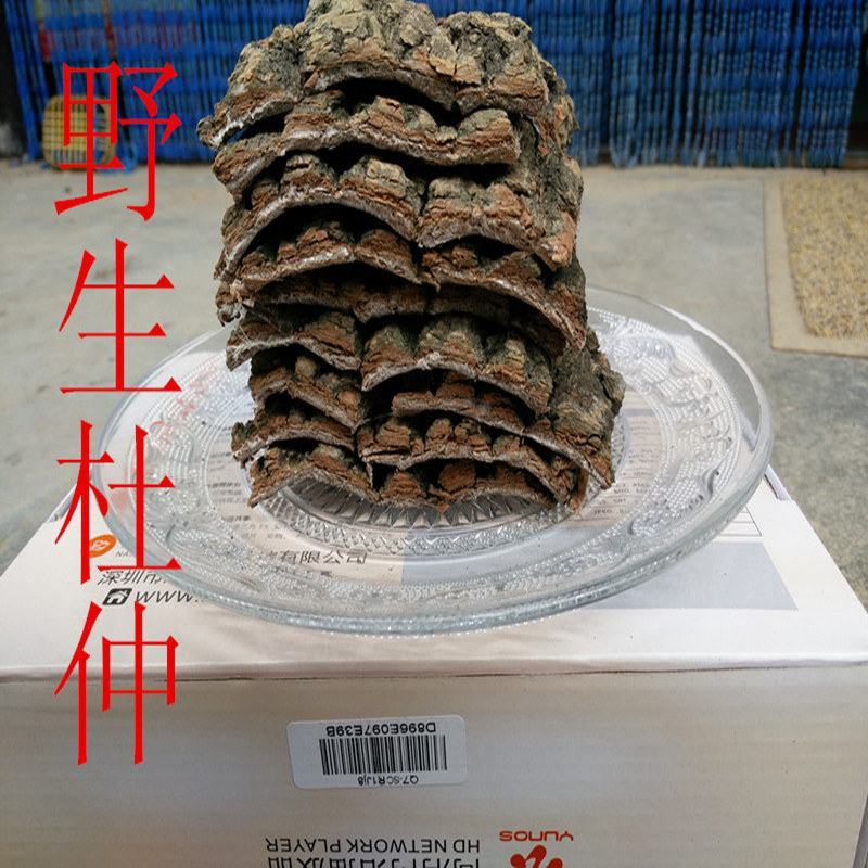 野生杜仲老树杜仲皮中药材批发地产杜仲茶厚皮泡茶煲汤泡酒补