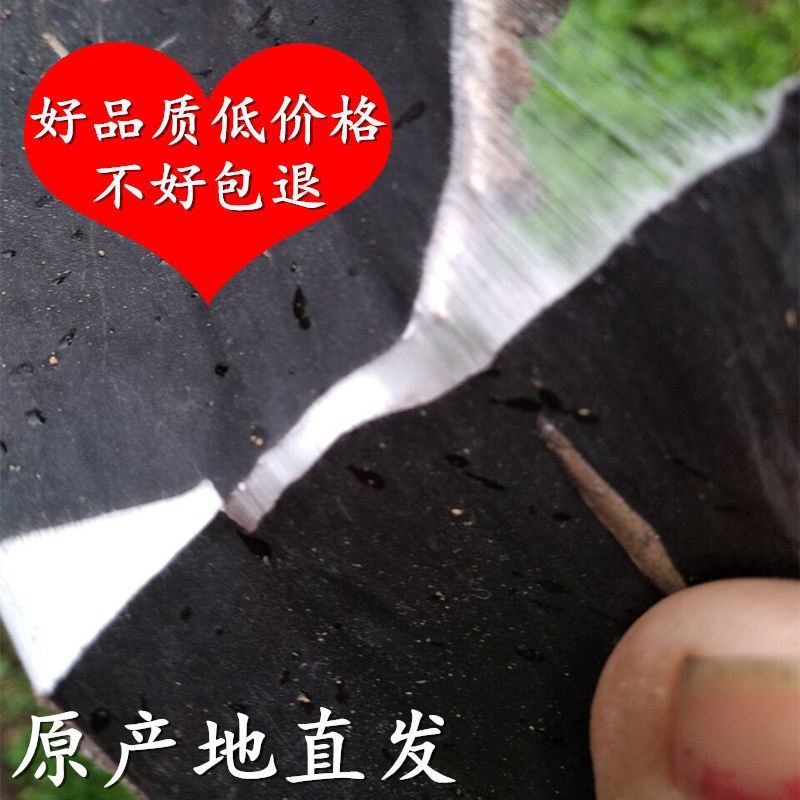 野生杜仲老树杜仲皮中药材批发地产杜仲茶厚皮泡茶煲汤泡酒补