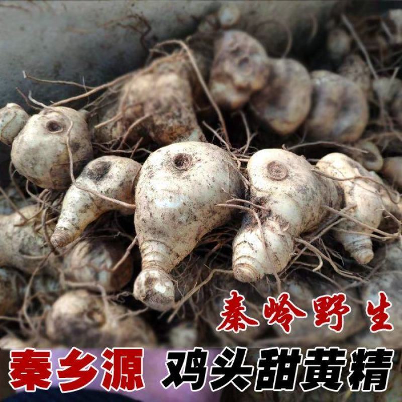 黄精新鲜黄精老虎姜纯野生黄精野生鸡头黄精滋补品泡酒