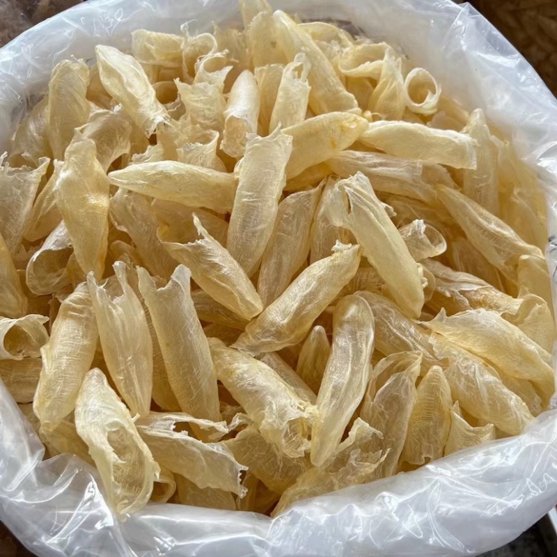 墨西哥花胶咸水筒鲈鱼鱼胶60头/斤胶质好批发价