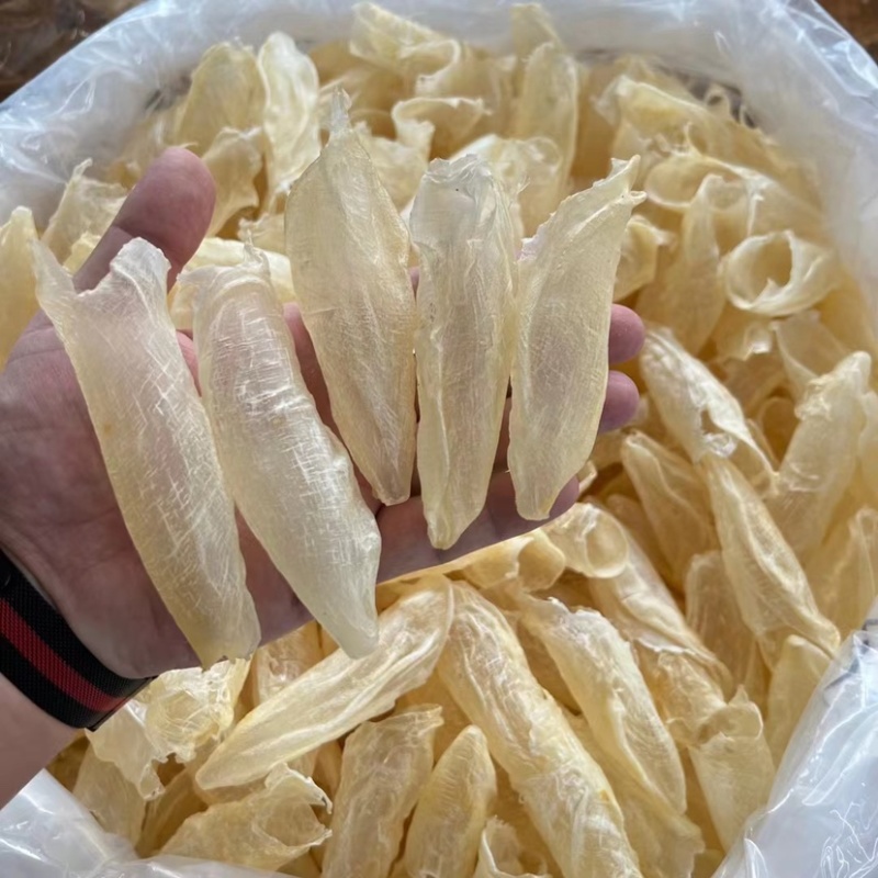 墨西哥花胶咸水筒鲈鱼鱼胶60头/斤胶质好批发价