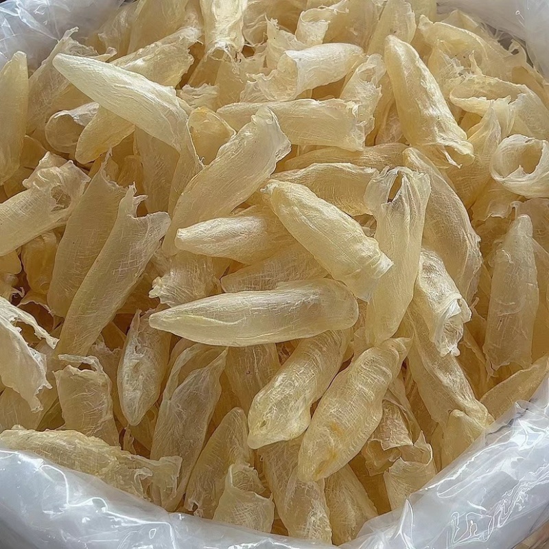 墨西哥花胶咸水筒鲈鱼鱼胶60头/斤胶质好批发价