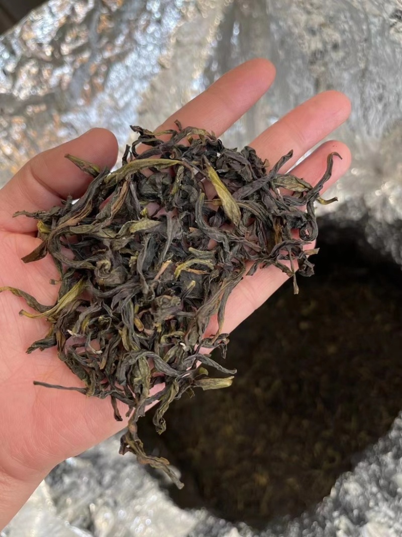 鸭屎香单丛茶潮州凤凰单枞茶送礼罐装500克批发价