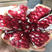 石榴树苗突尼斯滴水红软籽石榴树苗，品种纯真技术指导