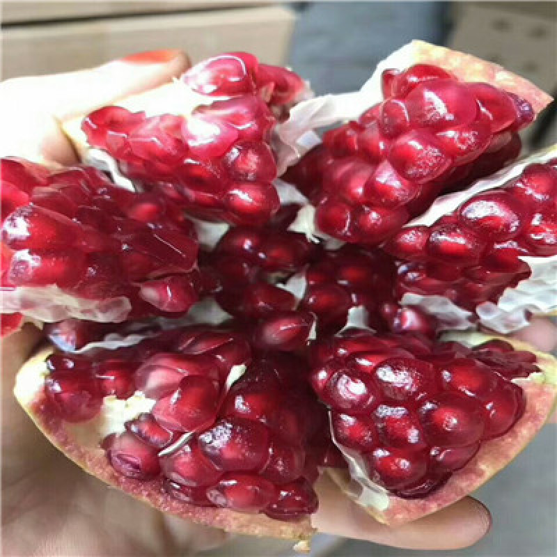 石榴树苗突尼斯滴水红软籽石榴树苗，品种纯真技术指导