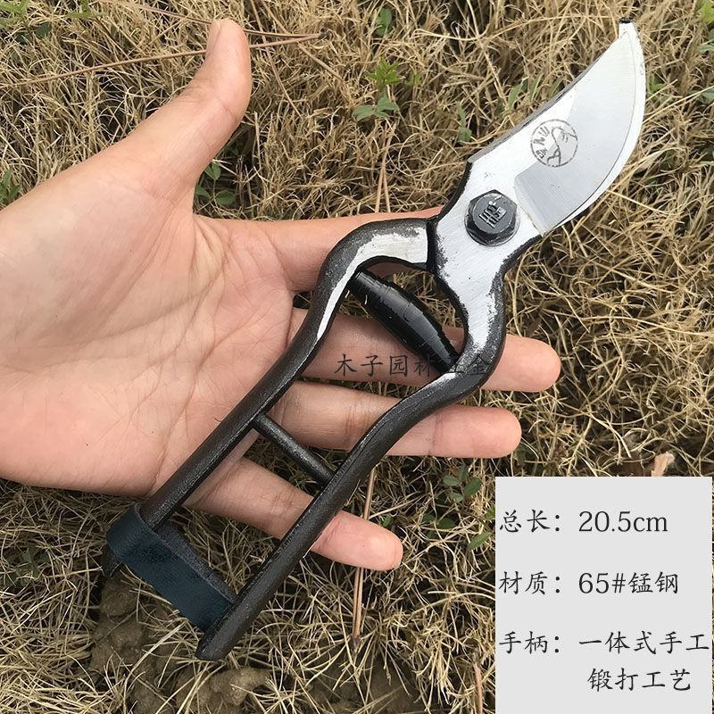老式铁匠锻打望儿山果树剪土枝剪修枝剪园艺小剪刀修枝剪古董