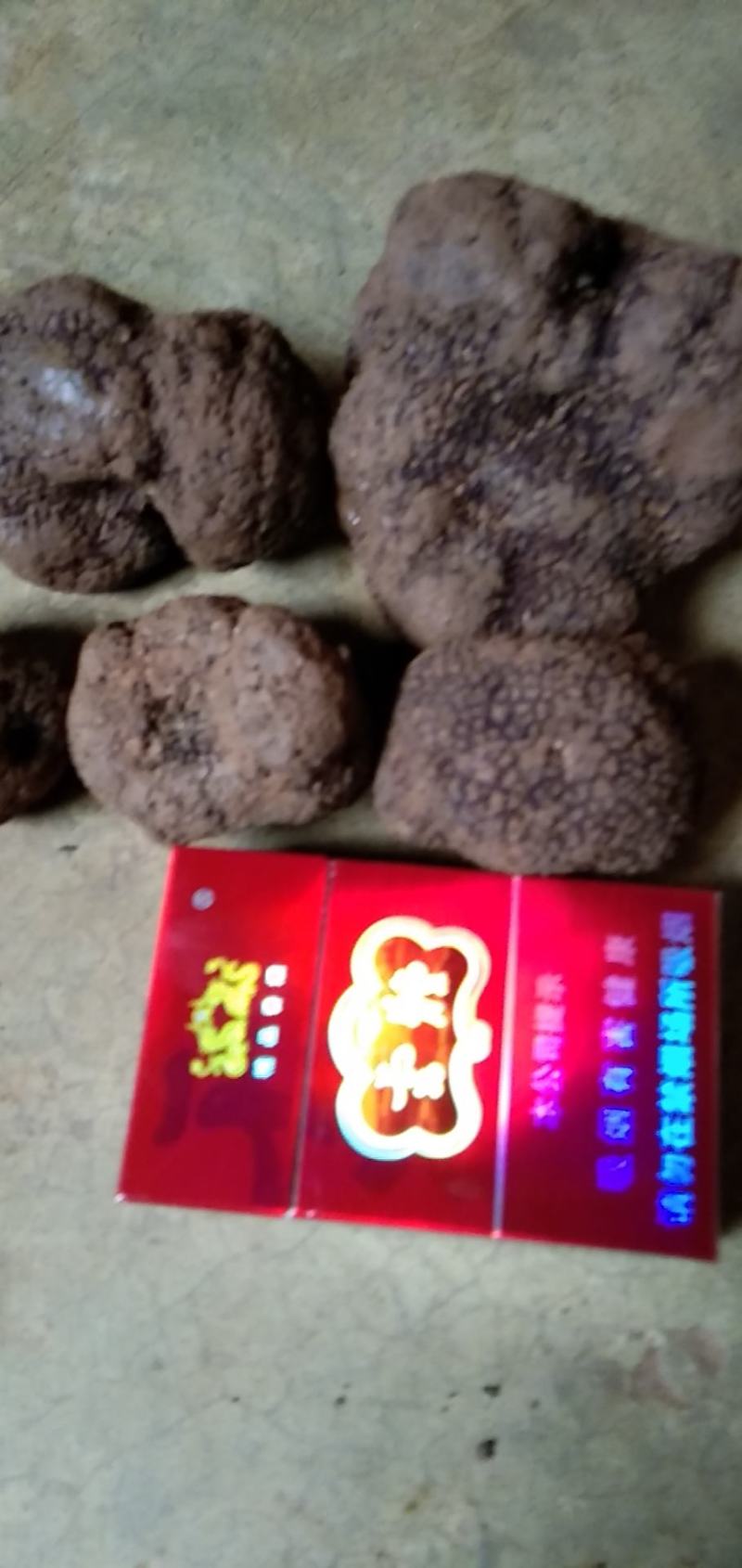 黑松露