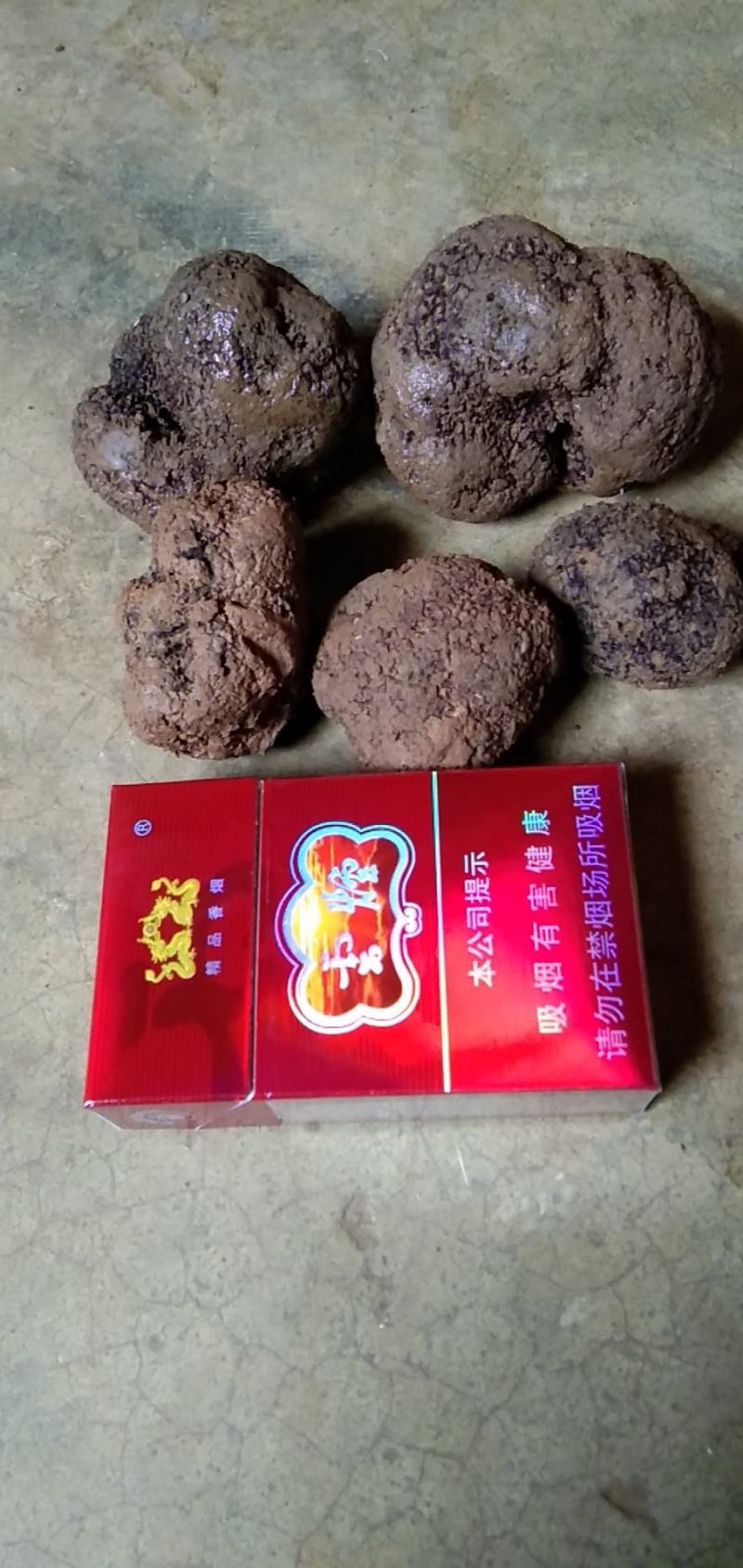 黑松露