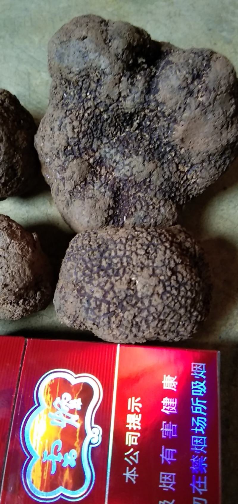 黑松露